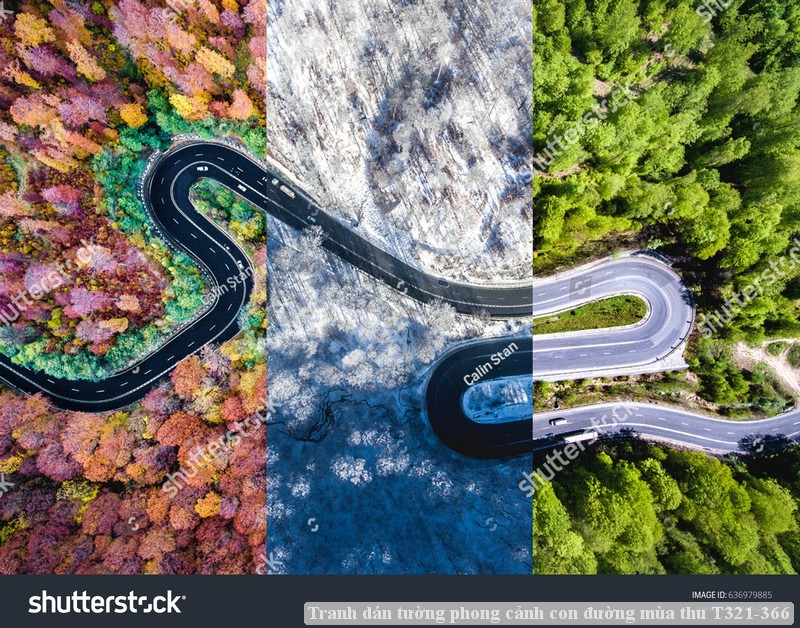 Tranh dán tường phong cảnh con đường mùa thu T321-366